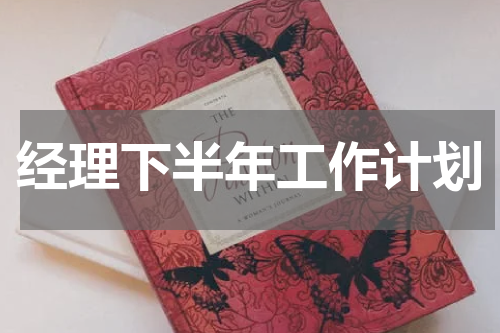 经理下半年工作计划