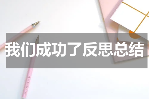 我们成功了反思总结