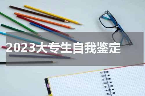 2023大专生自我鉴定