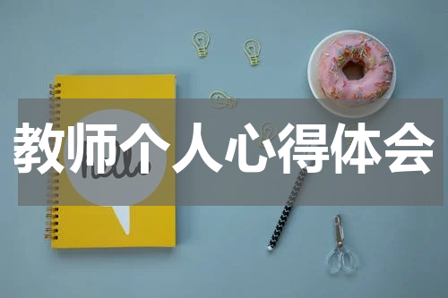 教师个人心得体会