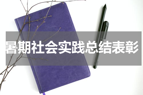 暑期社会实践总结表彰