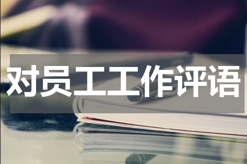 对员工工作评语