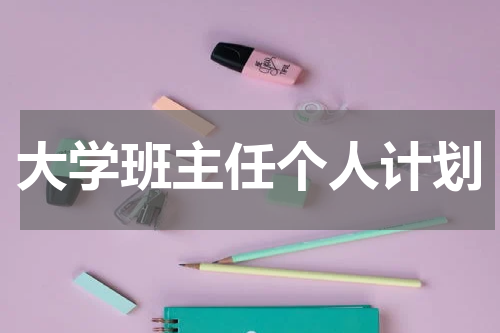 大学班主任个人计划