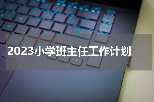 2023小学班主任工作计划