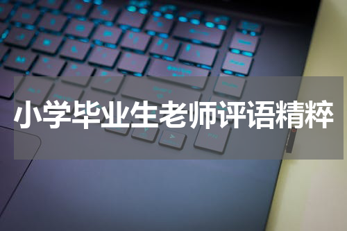 小学毕业生老师评语精粹