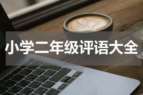 小学二年级评语大全