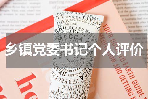 乡镇党委书记个人评价