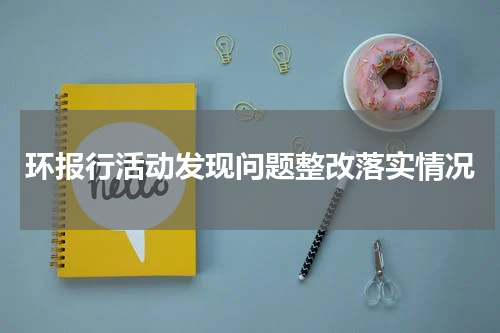 环报行活动发现问题整改落实情况