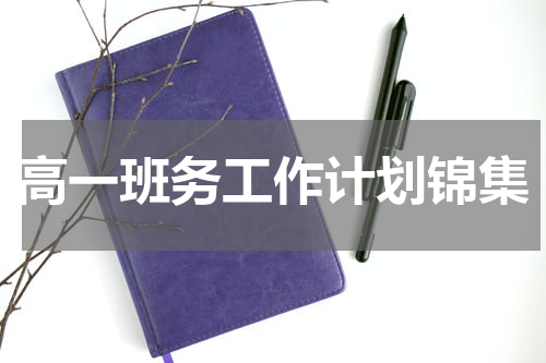 高一班务工作计划锦集