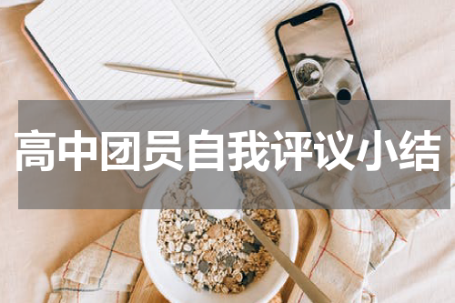 高中团员自我评议小结
