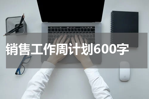 销售工作周计划600字