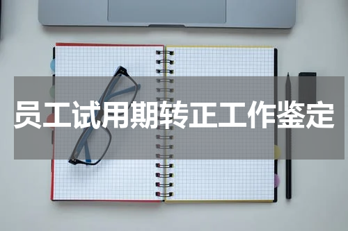 员工试用期转正工作鉴定