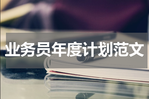 业务员年度计划范文
