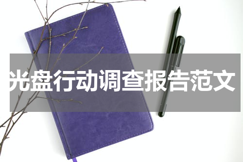 光盘行动调查报告范文