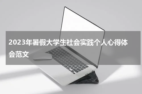 2023年暑假大学生社会实践个人心得体会范文