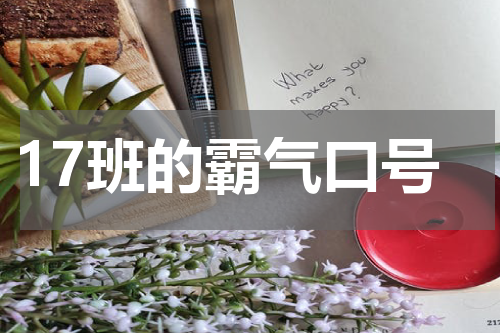 17班的霸气口号
