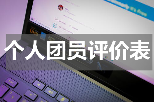个人团员评价表