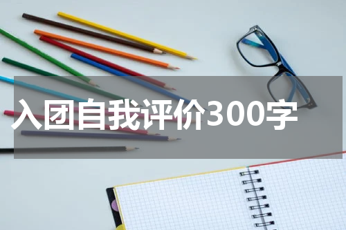 入团自我评价300字
