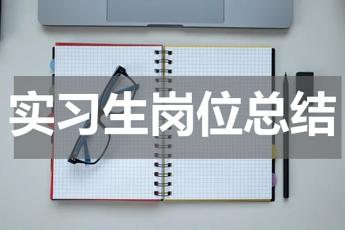 实习生岗位总结