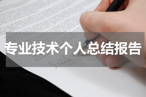 专业技术个人总结报告