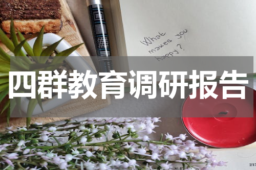 四群教育调研报告