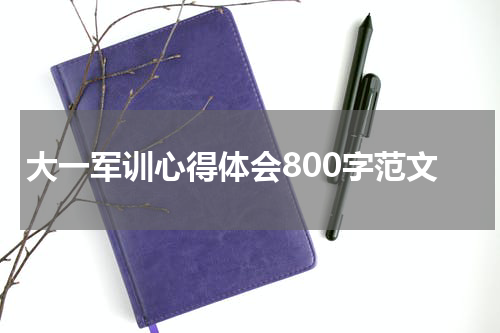 大一军训心得体会800字范文