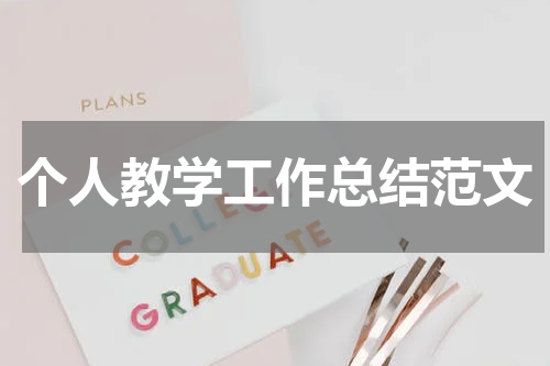 个人教学工作总结范文