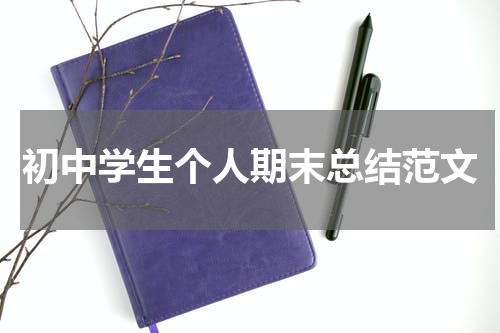 初中学生个人期末总结范文