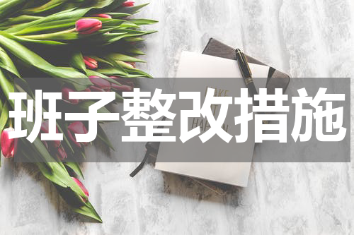 班子整改措施