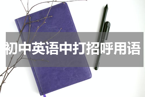 初中英语中打招呼用语
