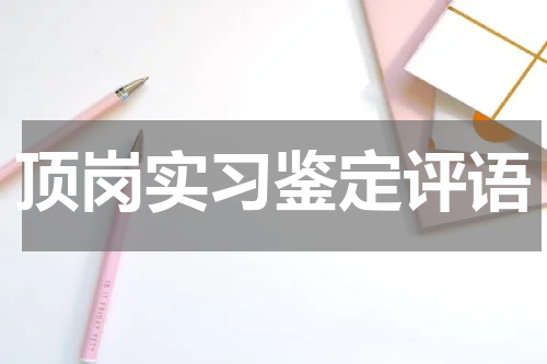 顶岗实习鉴定评语