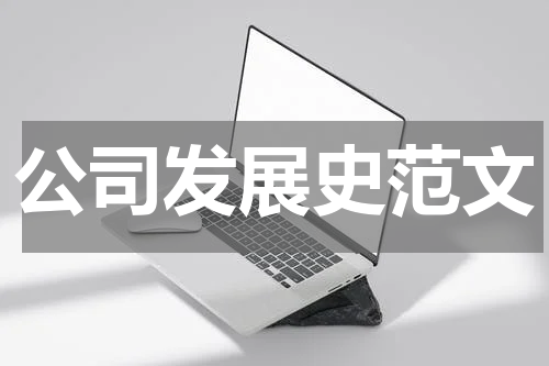 公司发展史范文