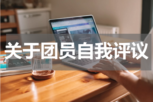 关于团员自我评议