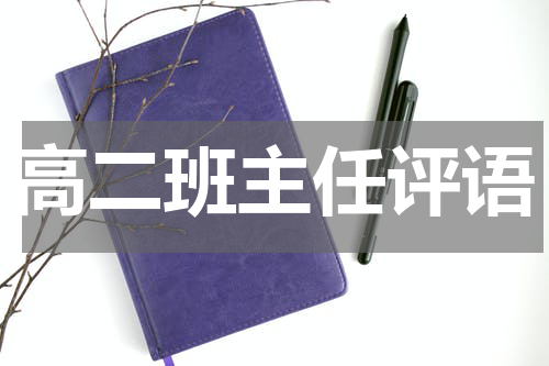 高二班主任评语