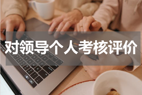 对领导个人考核评价