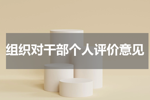 组织对干部个人评价意见