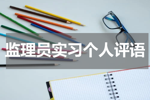 监理员实习个人评语