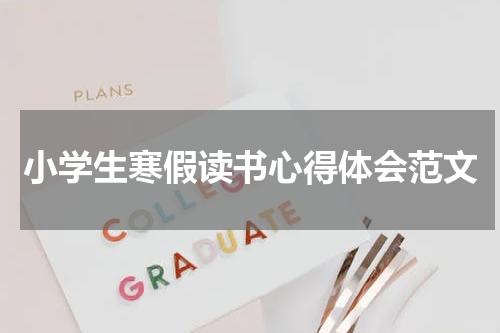 小学生寒假读书心得体会范文
