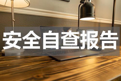 安全自查报告