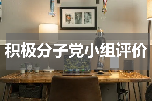 积极分子党小组评价