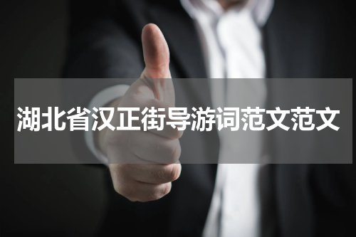 湖北省汉正街导游词范文范文