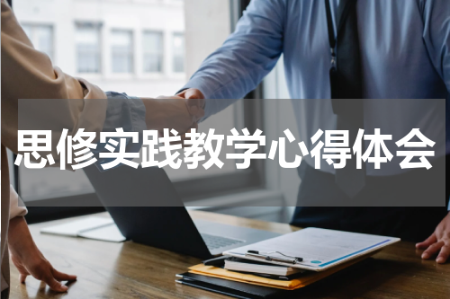 思修实践教学心得体会