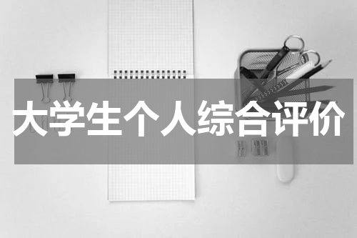 大学生个人综合评价