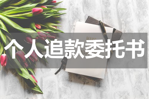 个人追款委托书