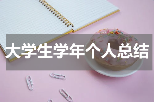 大学生学年个人总结