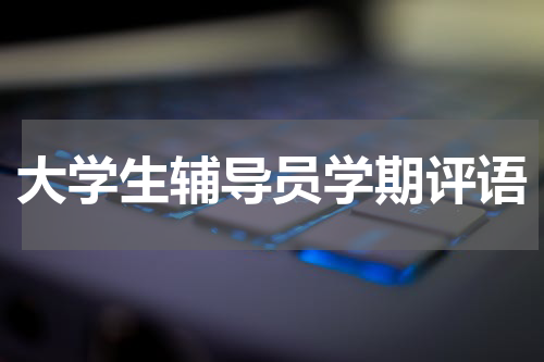 大学生辅导员学期评语