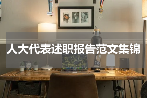 人大代表述职报告范文集锦