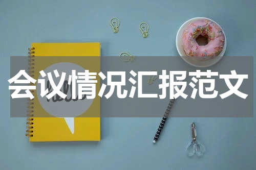 会议情况汇报范文