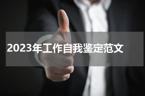 2023年工作自我鉴定范文