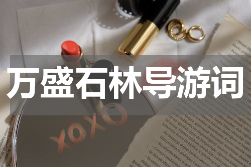 万盛石林导游词